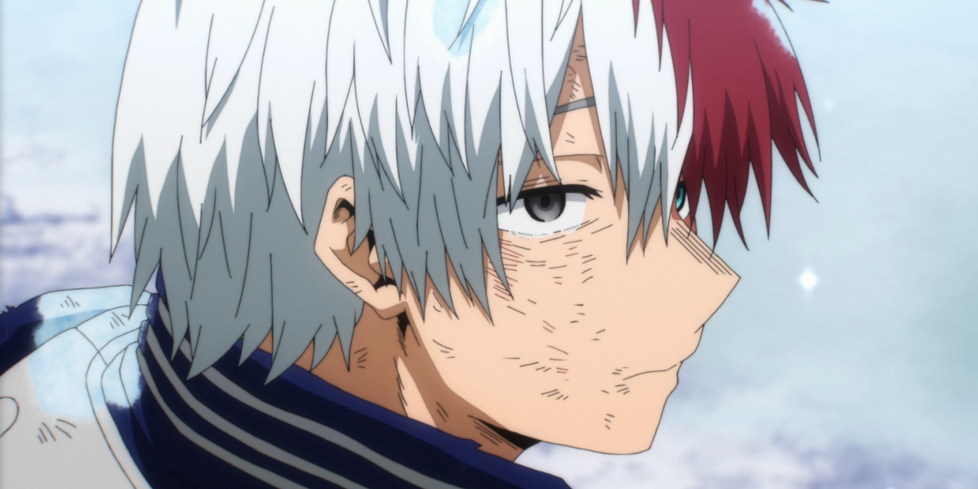 My Hero Academia: How Deku Changed Todoroki's Life Forever