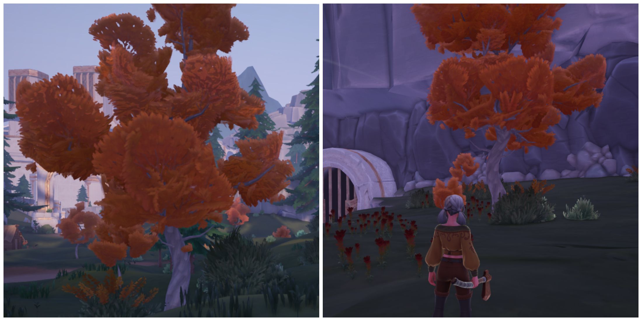 Split image of some sapwood trees that have juniper seeds in Palia