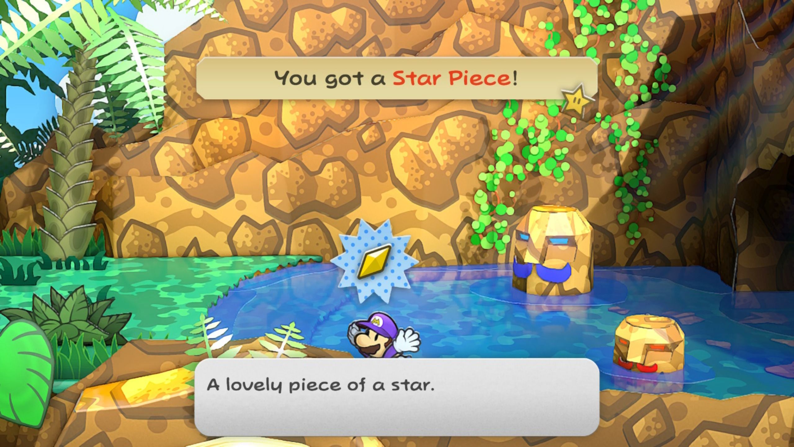 Image of the star piece near the entrance to Pirates Grove in Paper Mario TTYD