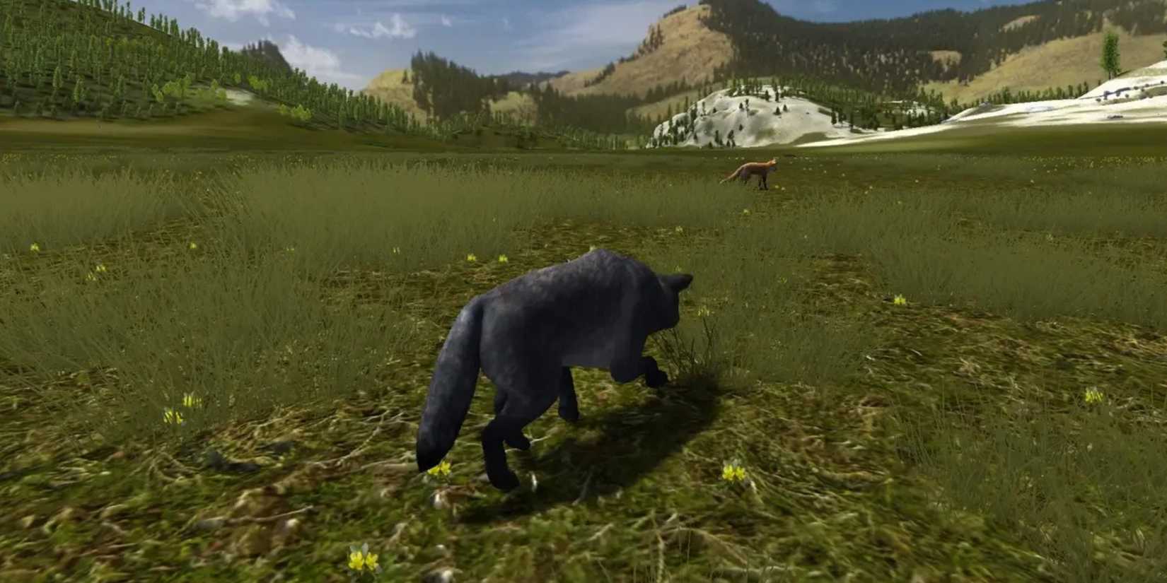 Play A Wolf in WolfQuest