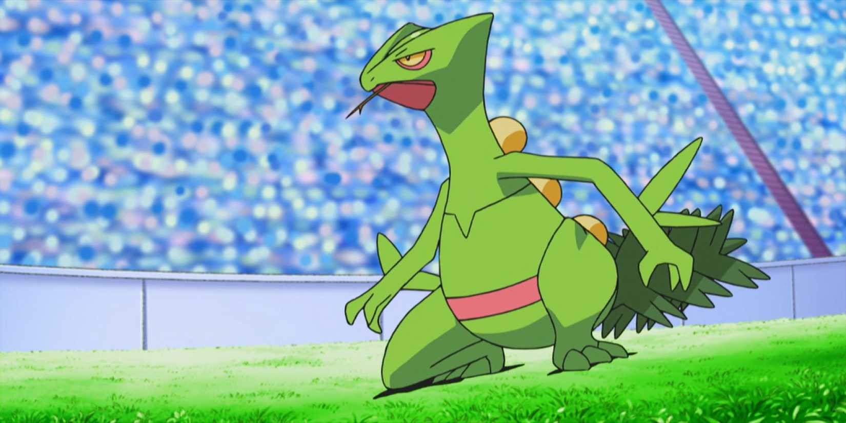 pokemon-anime-ash-sceptile