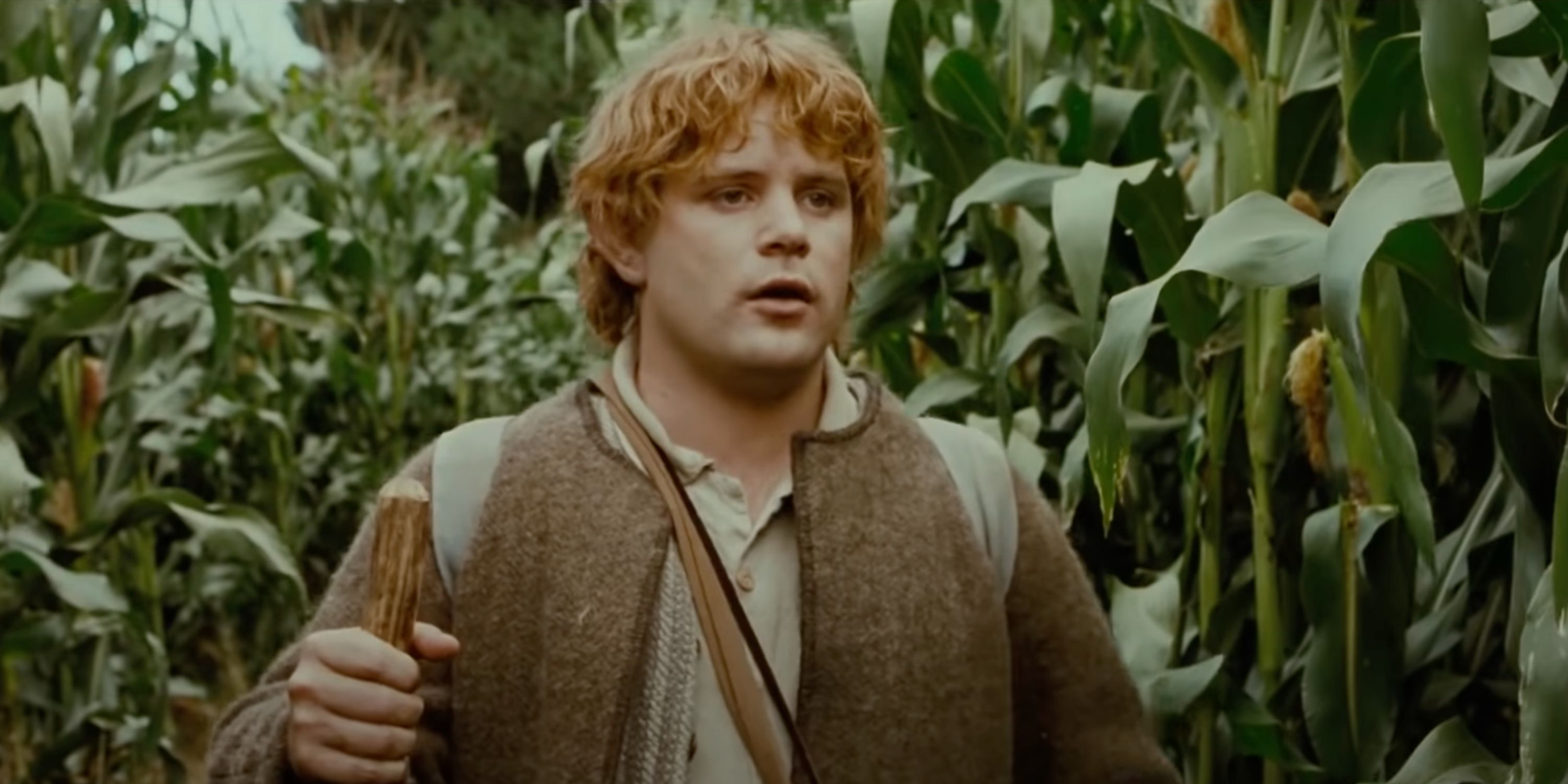 sam leaving the Shire in The Lord of the Rings: The Fellowship of the Ring