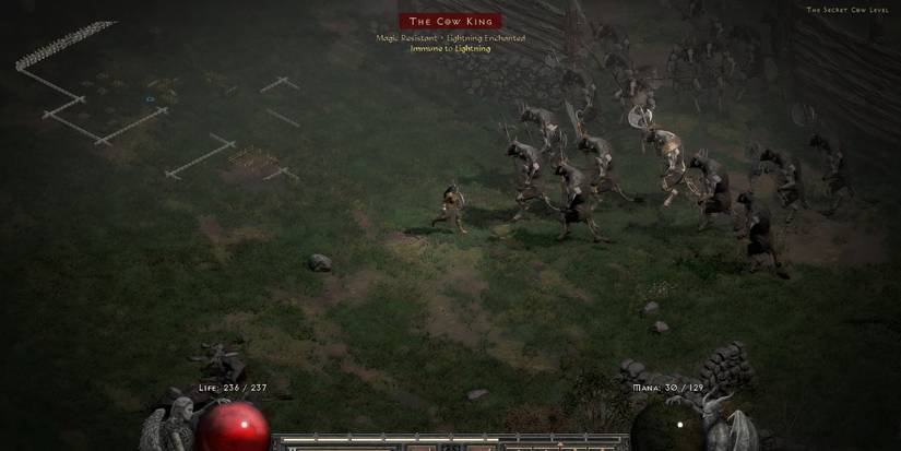 Secret Cow Level from Diablo 2