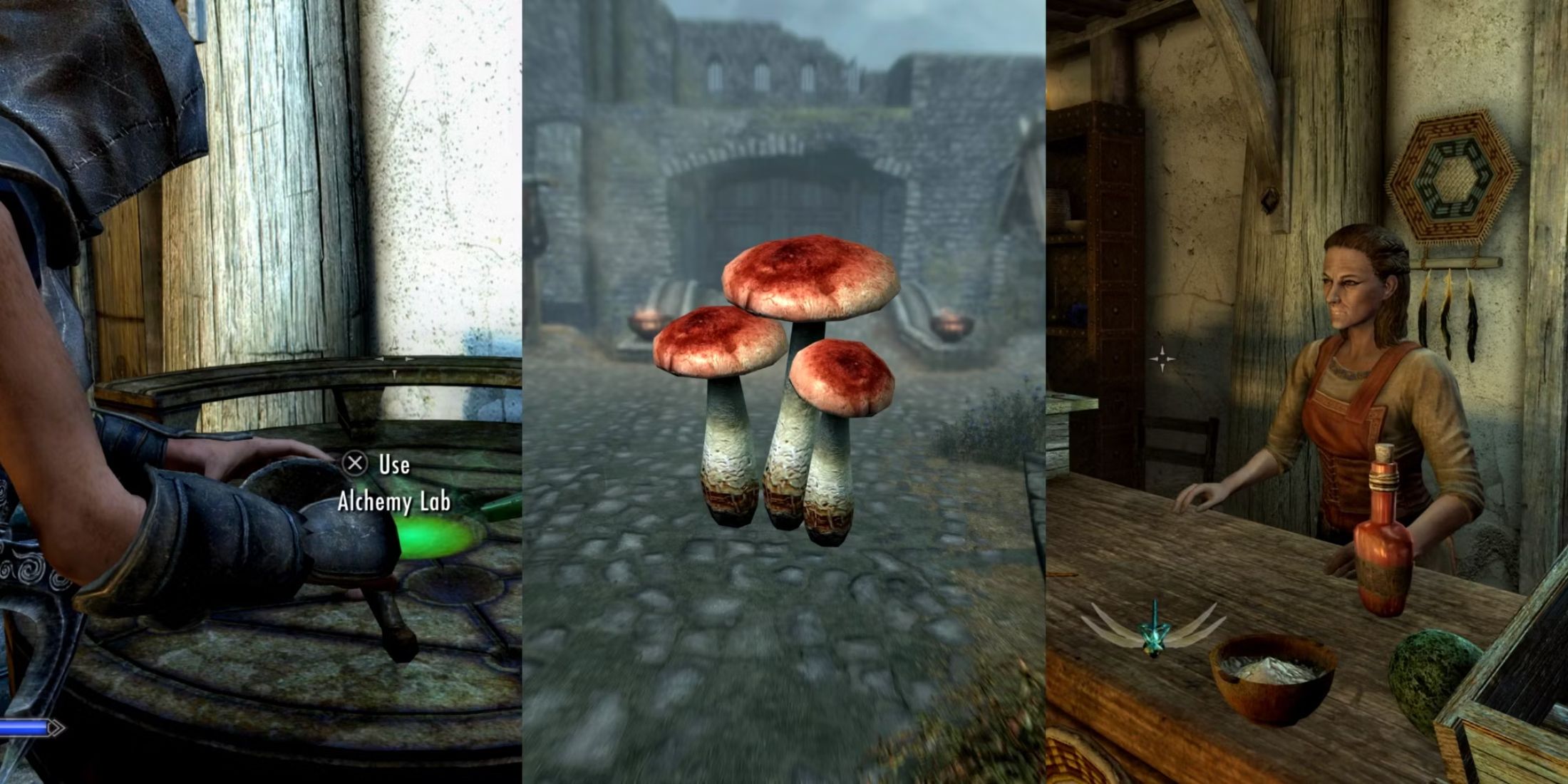 Best Potions To Level Alchemy Fast In Skyrim