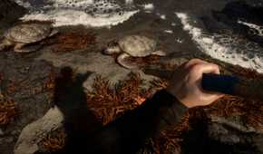Sons Of The Forest Has Interesting Hunger And Food Mechanics