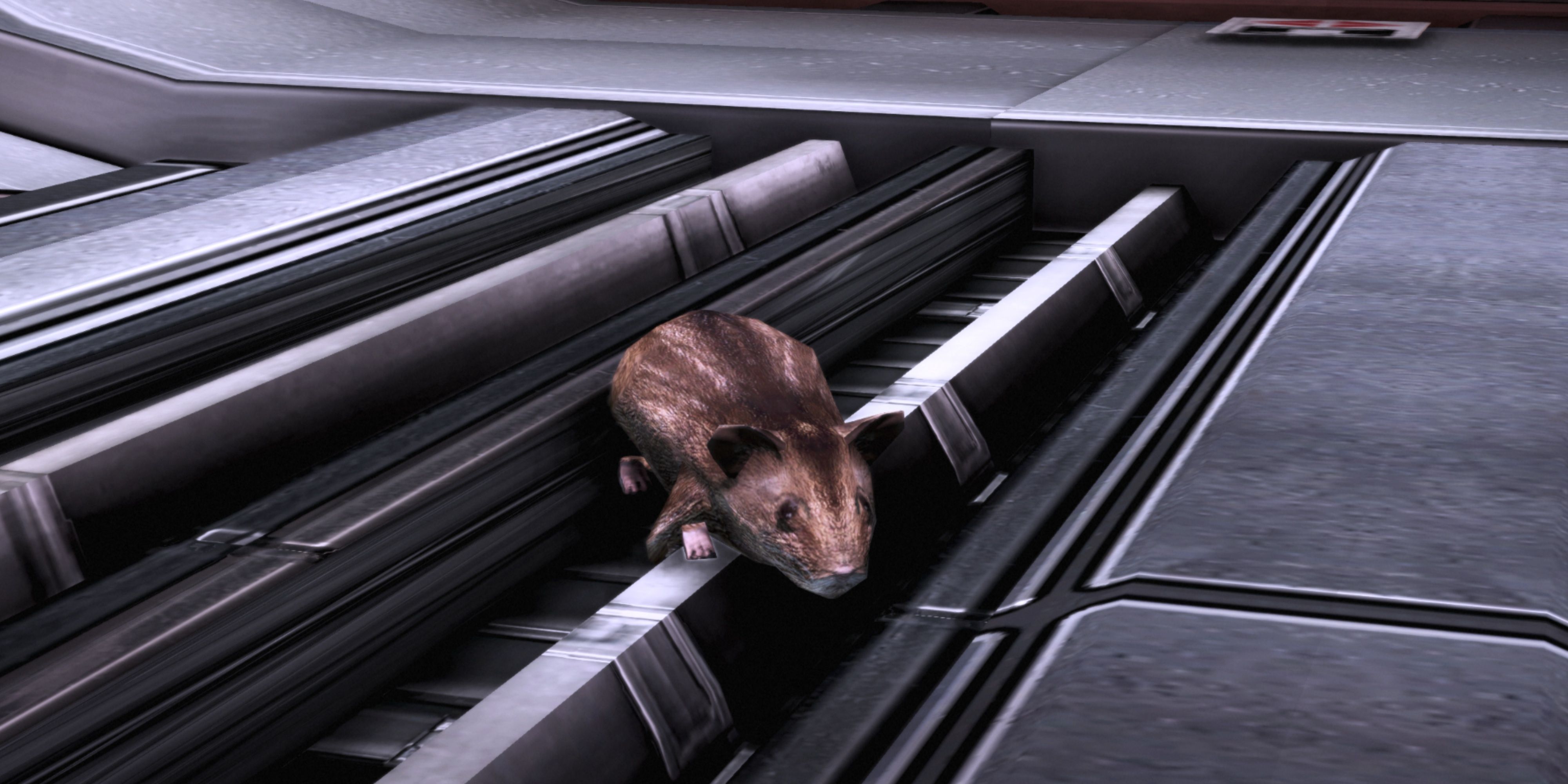 space hamster me3