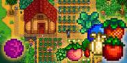 Stardew Valley How To Romance Marry Sam