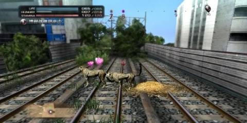 Survive As An Animail In Tokyo Jungle