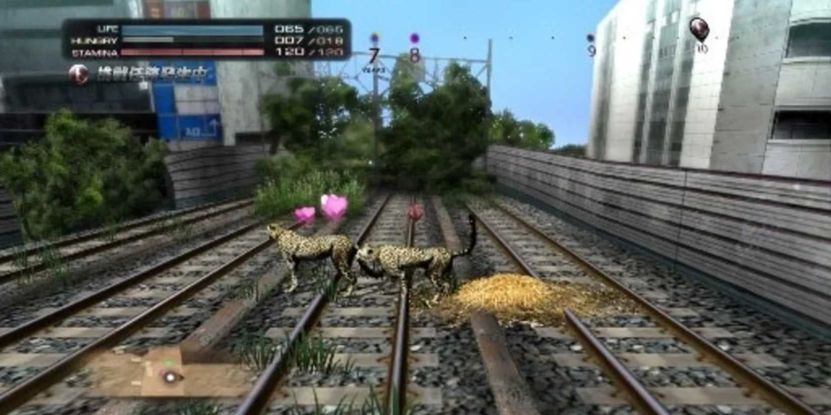 Survive As An Animail In Tokyo Jungle