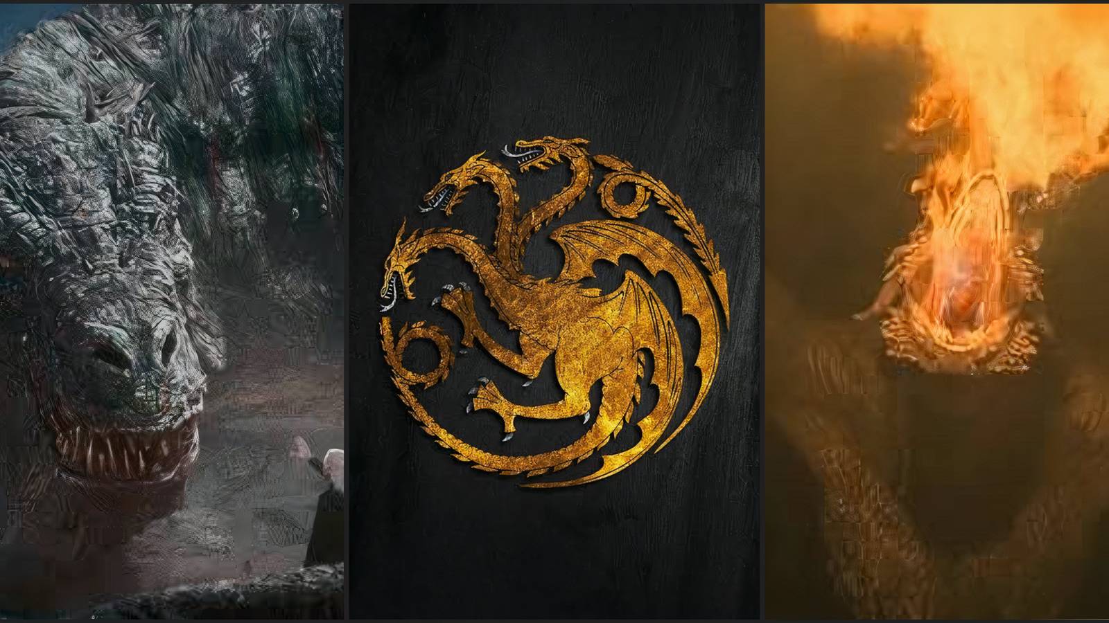 Team Green Dragons Vhagar Sunfyre Dreamfyre