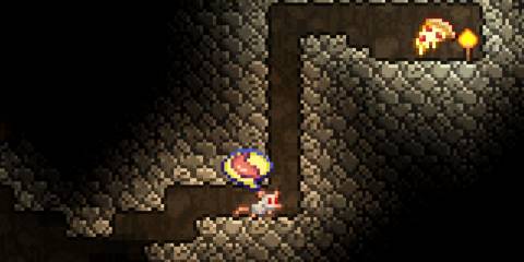 Terraria rat transformation crop