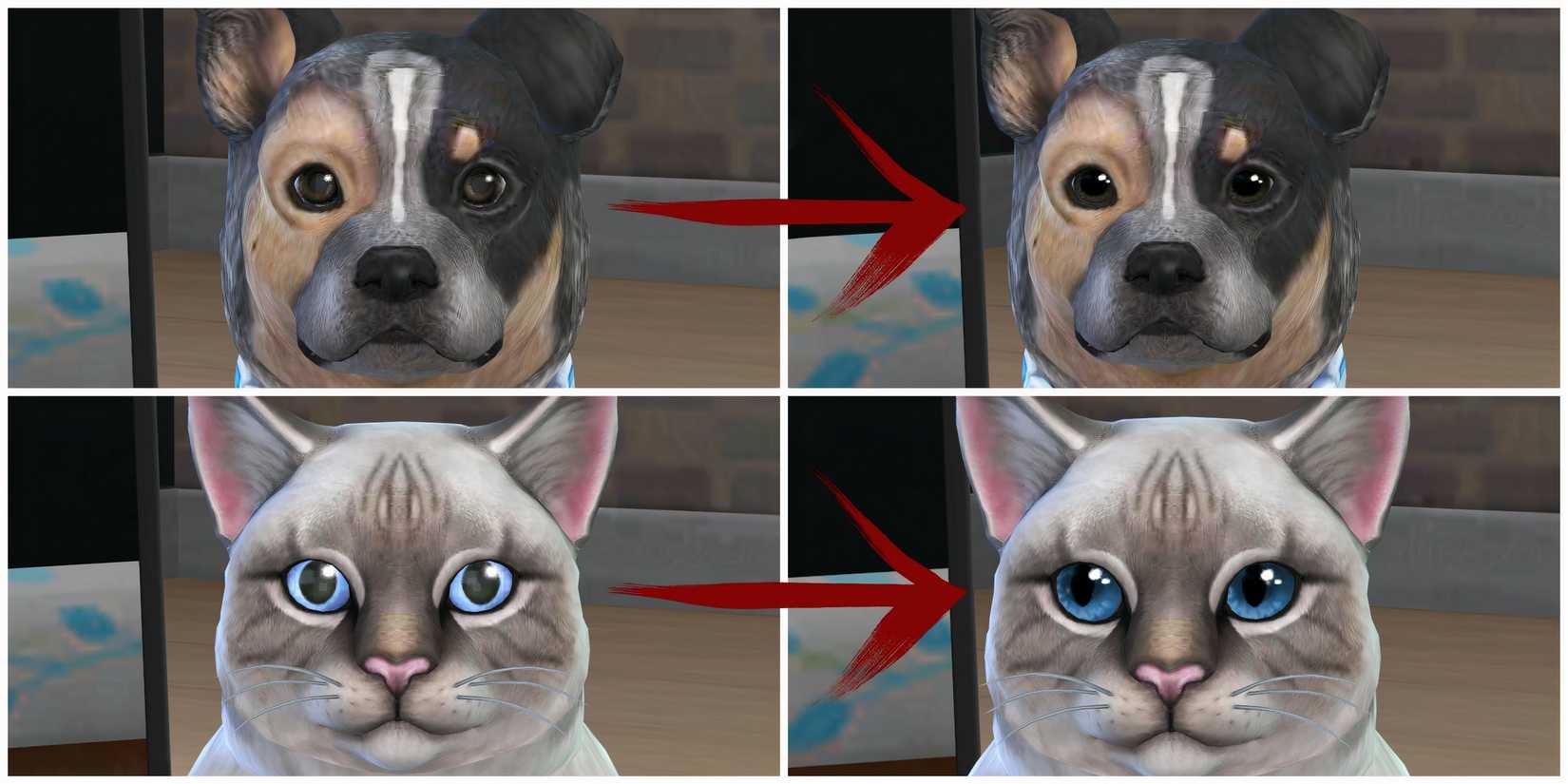 A dog and a cat with the base game eyes and the new Atmospheric Default Eyes from the mod