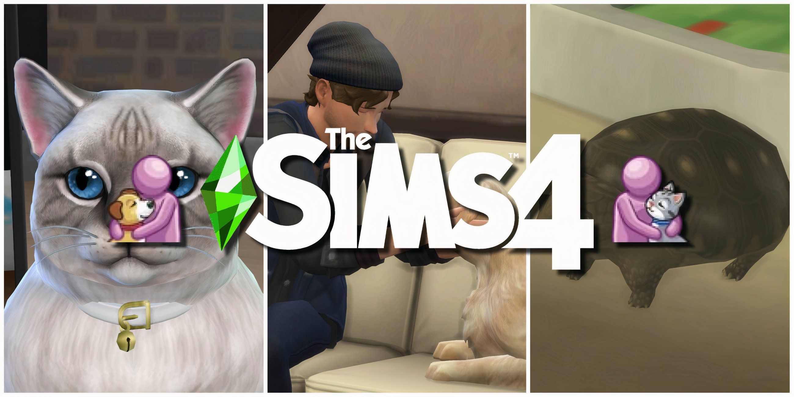 Cats, dogs, and small pets, representing the Best Pet Mods for the game