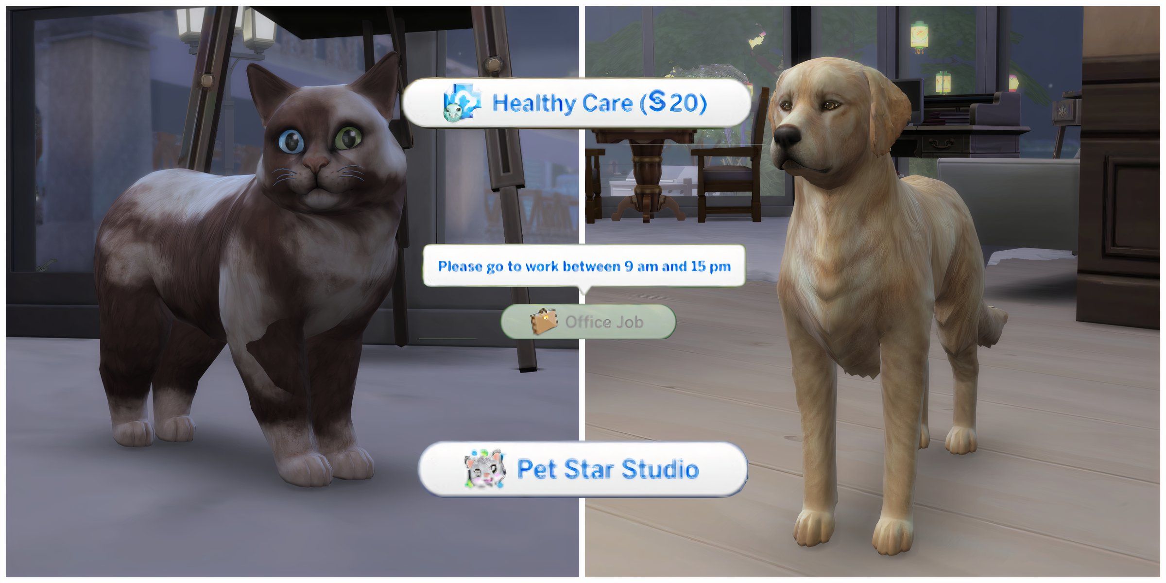 New rabbit hole experiences from the Pet Assignments And Jobs mod, including an office job, healthy care, and the pet star studio