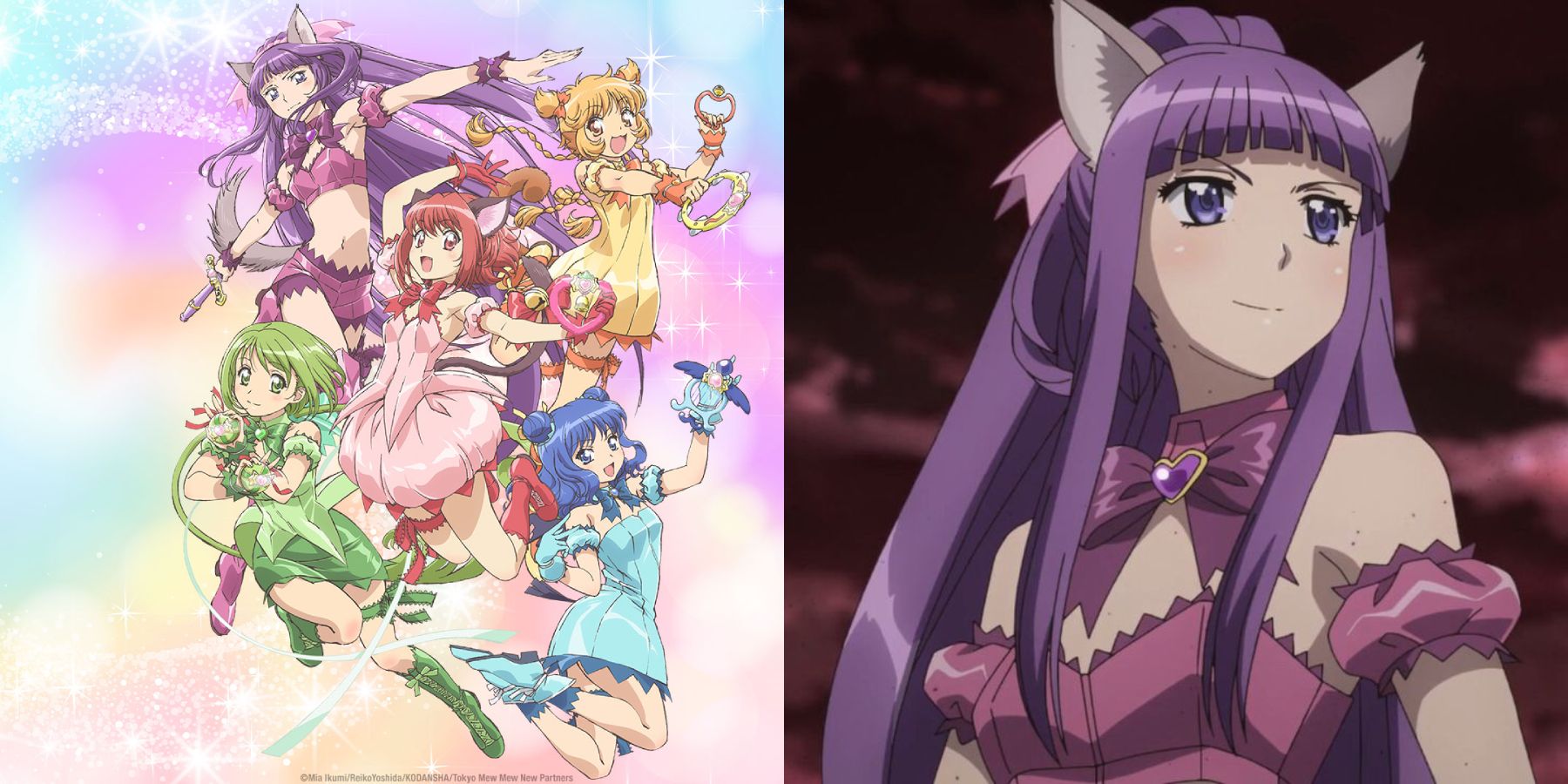 Tokyo Mew Mew official anime image and half shot of Zakuro smiling confidently