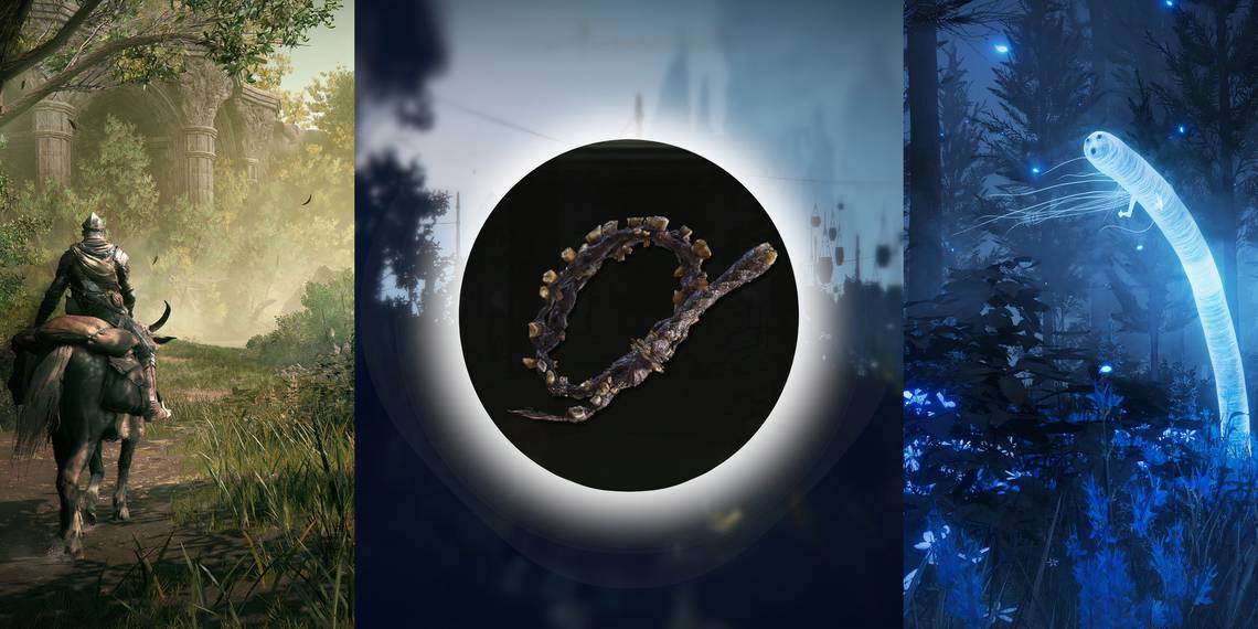 Ubicación Secreta del Látigo de Dientes en Elden Ring: Shadow of the Erdtree ¡No Te Lo Pierdas!
