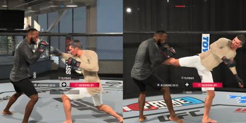 UFC side push kick to the body