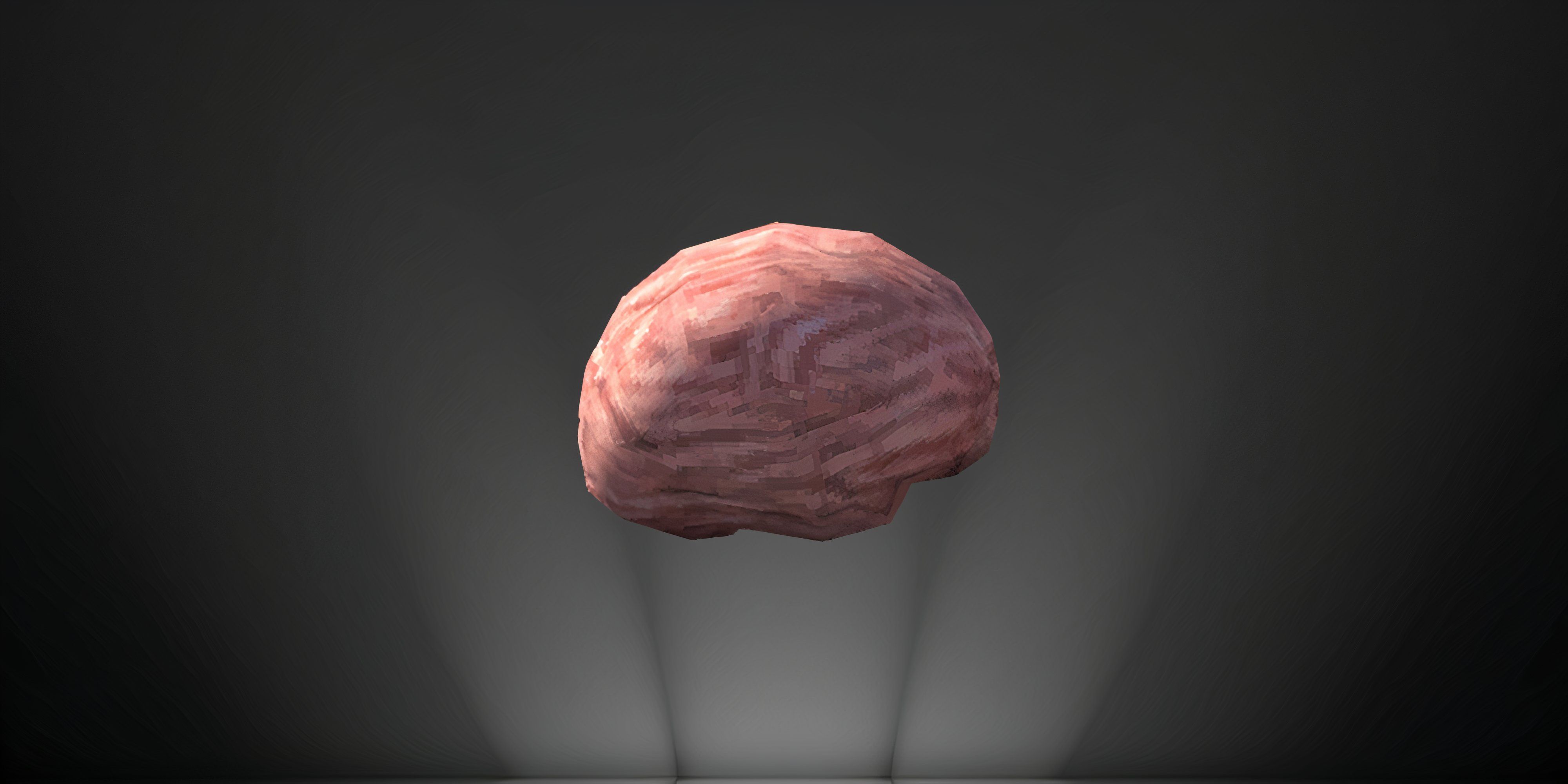 A human brain on a black background
