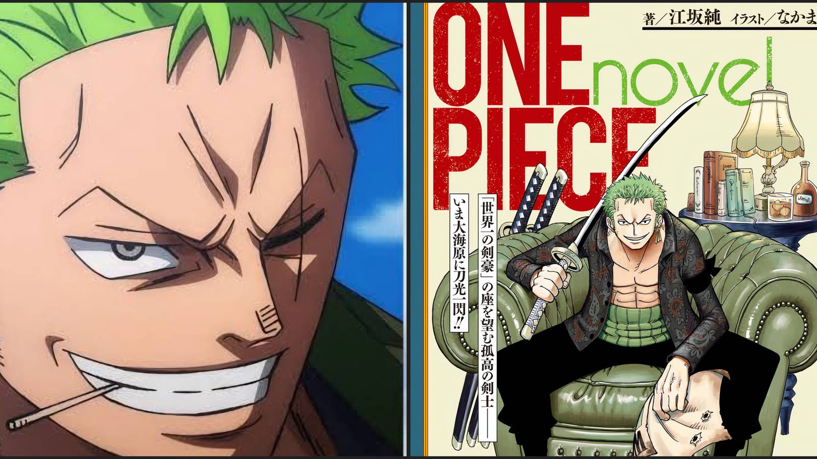 Zoro Novel Plot One Piece 