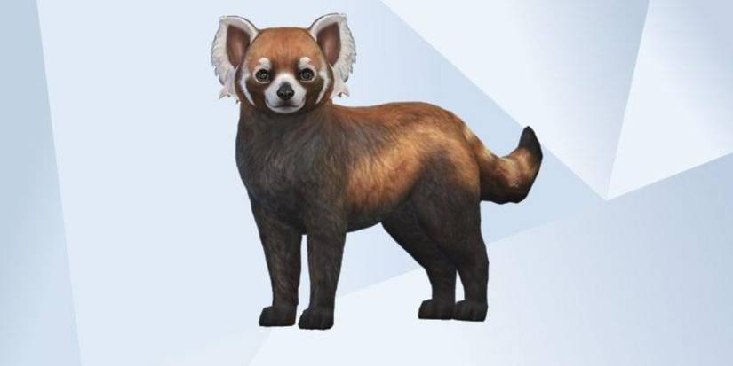 An image of a Red Panda made in The Sims 4 