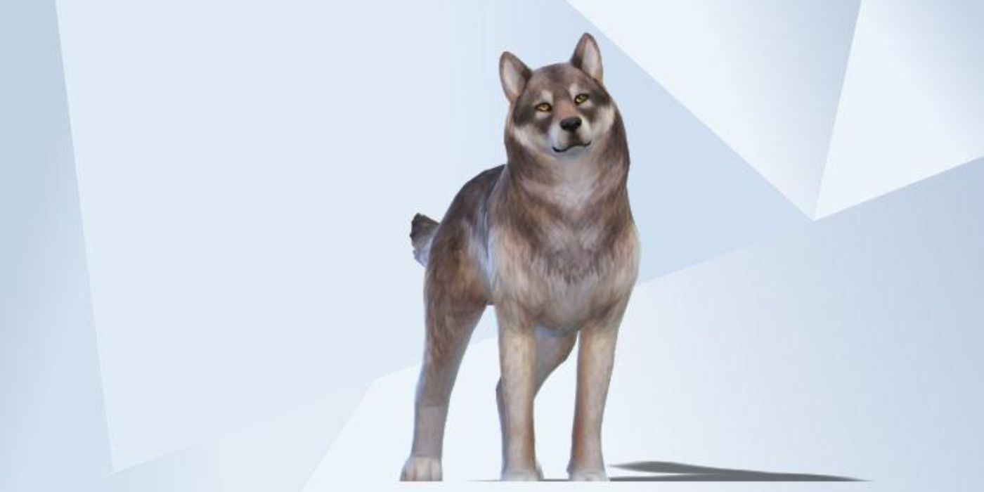 Best Pets In The Sims 4 Gallery