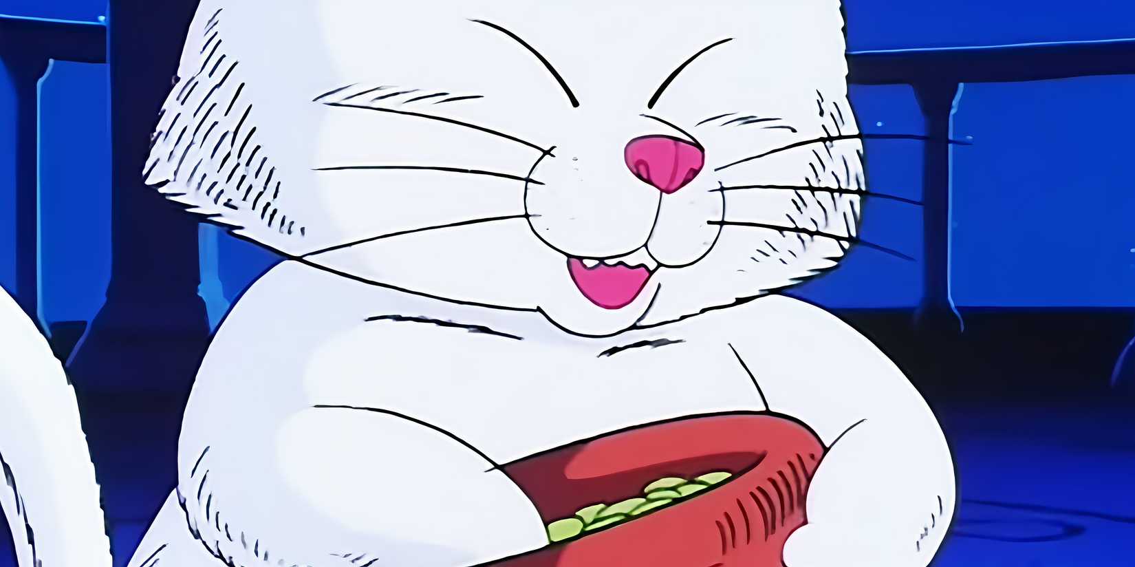 dragon-ball-senzu-beans