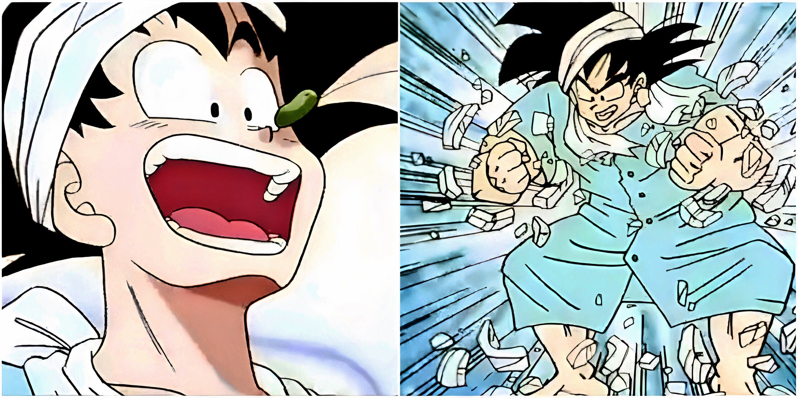 Dragon Ball Senzu Beans Explained