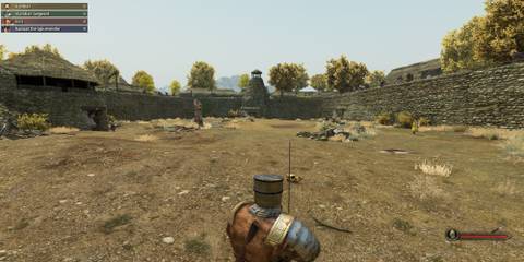 The Player Fighting In A Tournament 