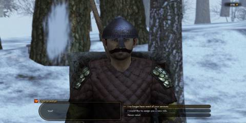 The Player Dismissing A Companion