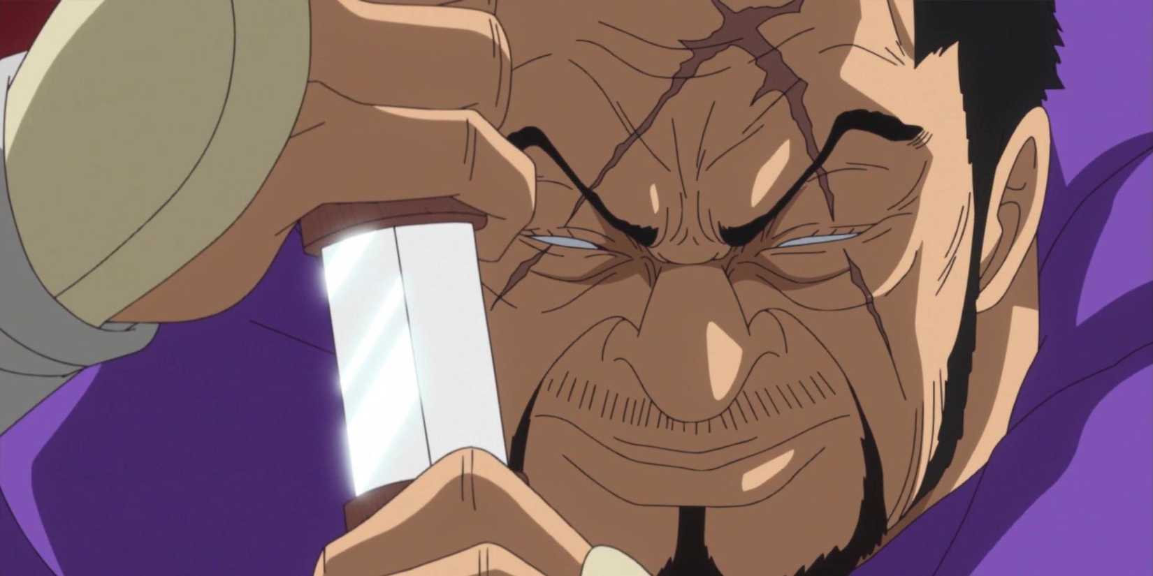 A closeup of Fujitora's Eye scars.