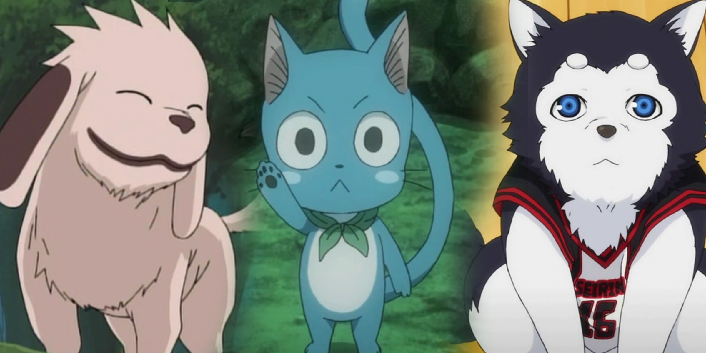 animal companions in anime