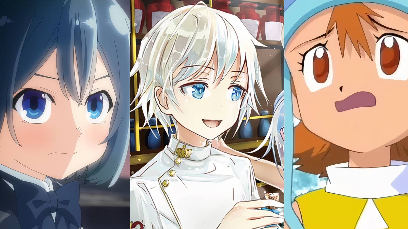 Ars Reincarnated As An Aristocrat, Falma Pharmacy In Another World, Sora Digimon Adventures