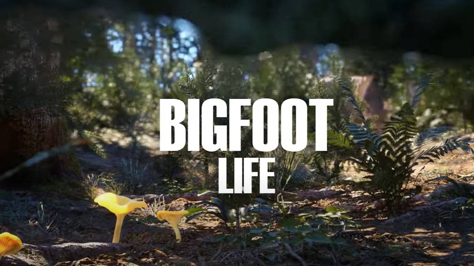 bigfoot-life