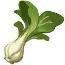 Bok_Choy