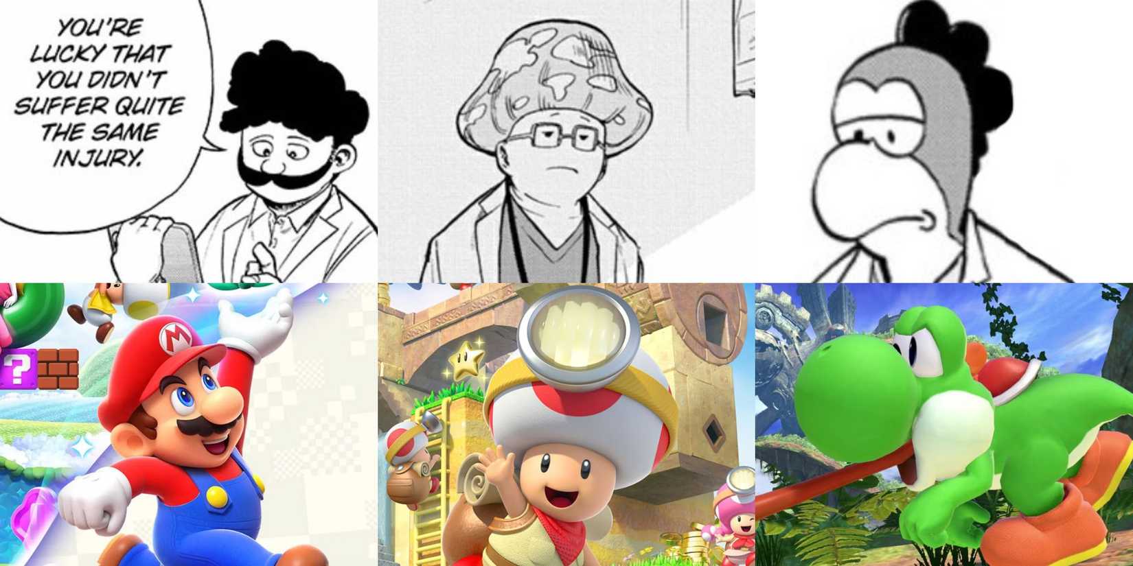 Comparison between the 3 iconic doctors from Central Hospital and 3 characters from the Mario series: Mario, Toad and Yoshi.