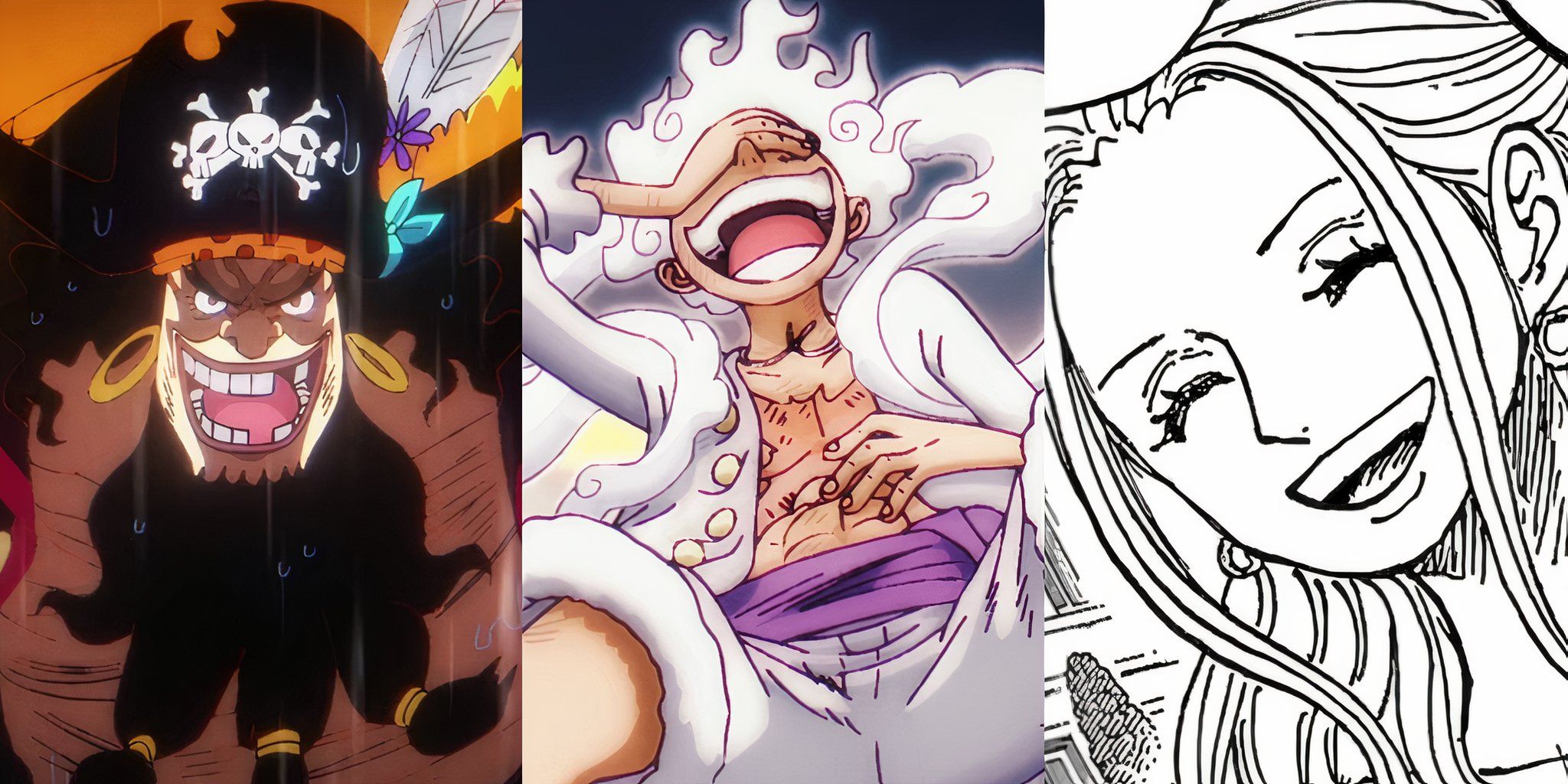 One Piece: The Traitor In The D Family, Explained