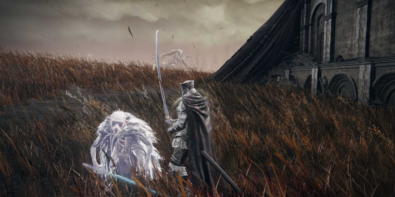 The player character and Demi-Human Swordsman Yosh in Elden Ring: Shadow of the Erdtree.