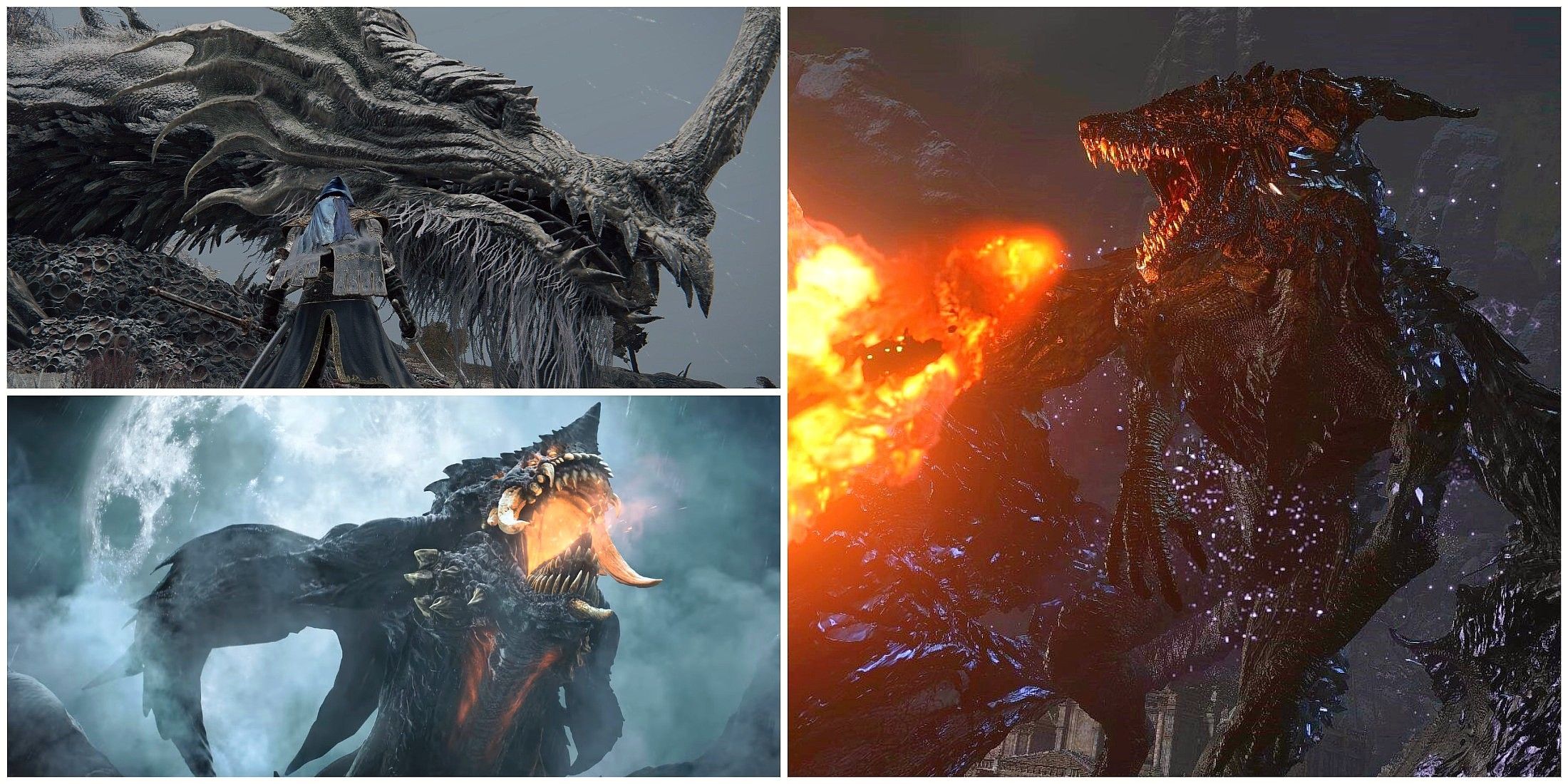 Biggest Dragons In FromSoftware Games, Ranked By Size