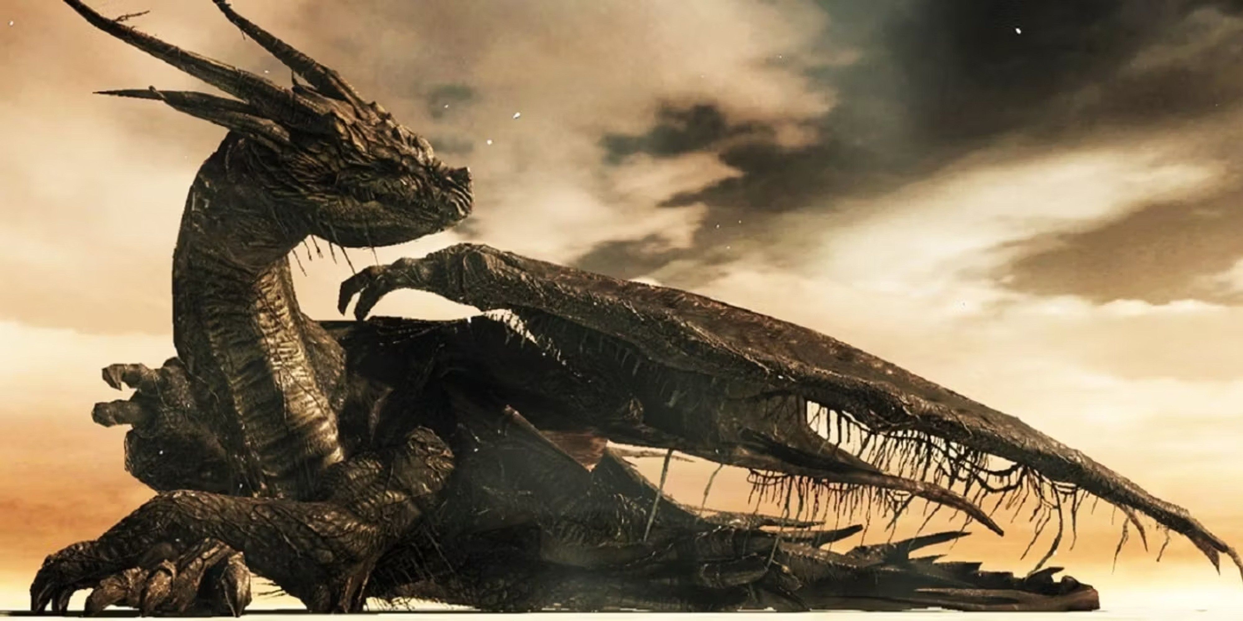 Dark Souls 2 Ancient Dragon Resting