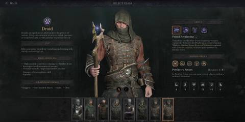 Dungeonborne - Druid Class