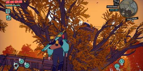 Dungeons of hinterberg climbing up to tree to the ancient tree dungeon entrance 