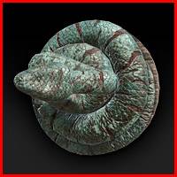 Elden Ring - Coil Shield Icon - Copy