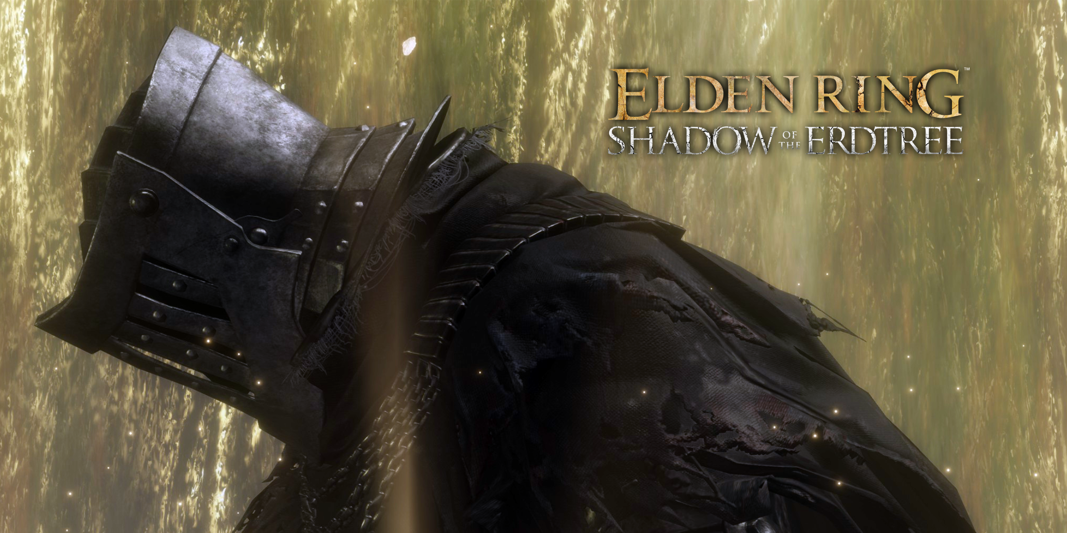 Elden Ring DLC Shadow of the Erdtree Fight Knight Build