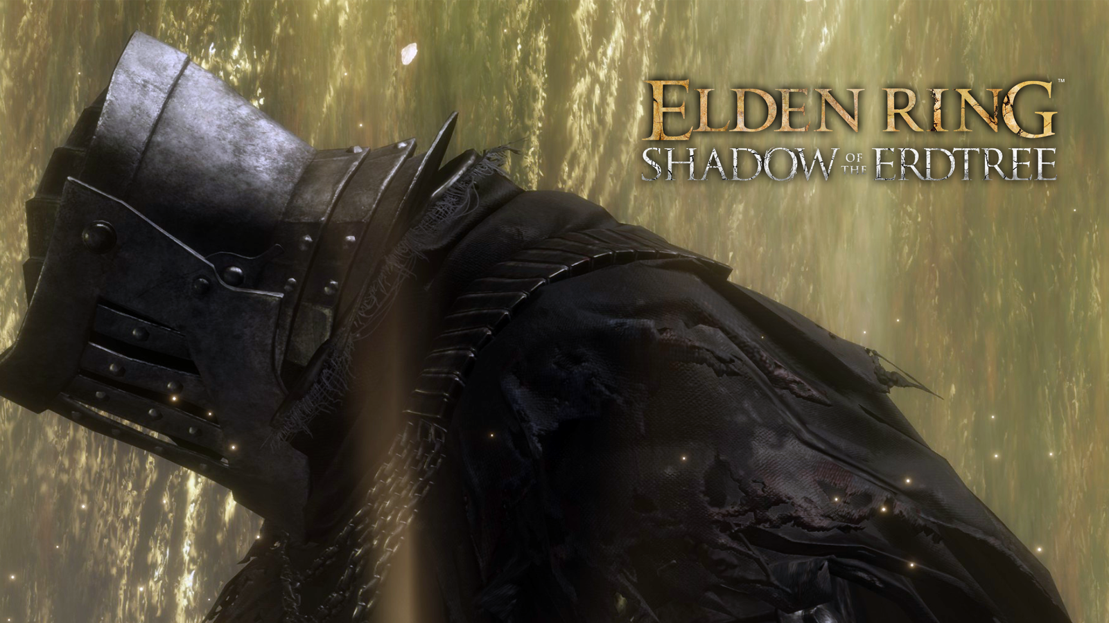 Elden Ring DLC Shadow of the Erdtree Fight Knight Build