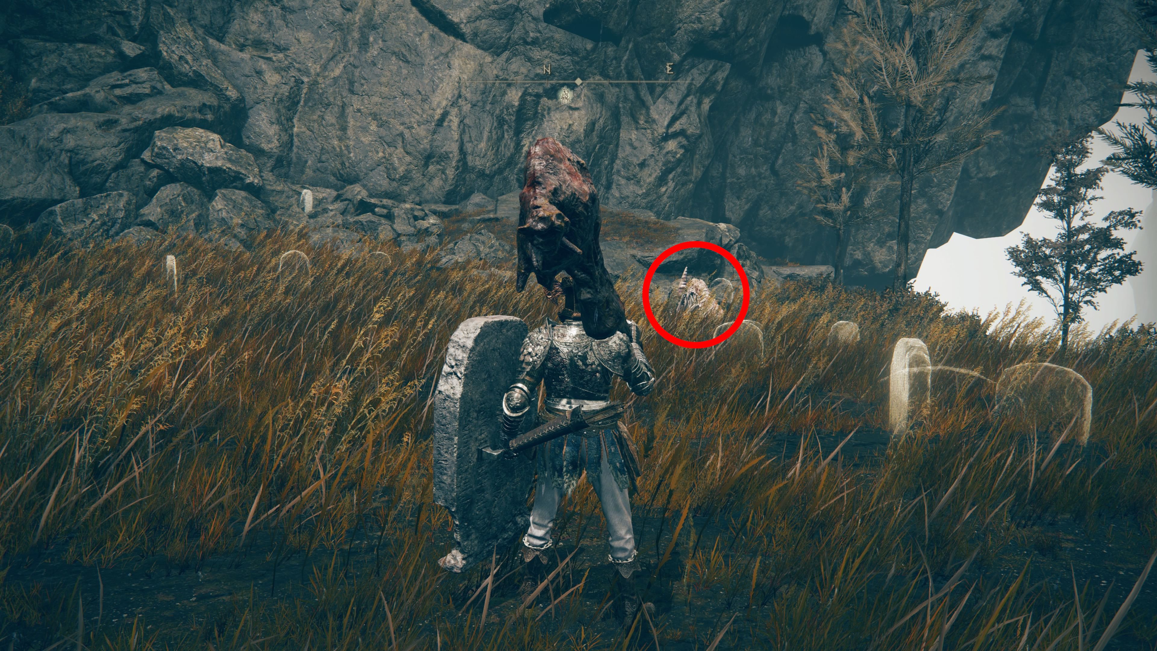 All Forager Brood Cookbook Locations in Elden Ring DLC