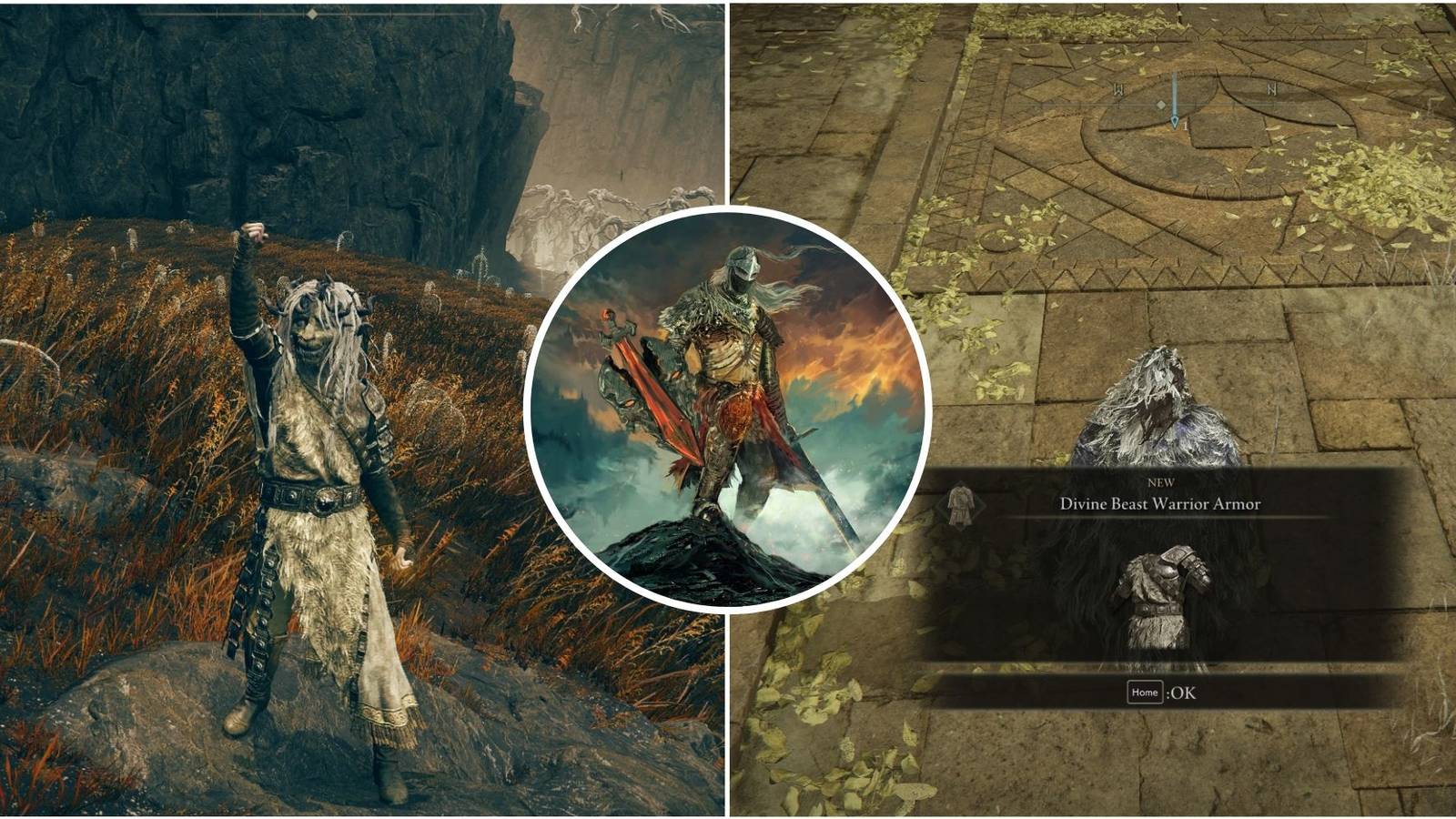 elden ring pickup and emote