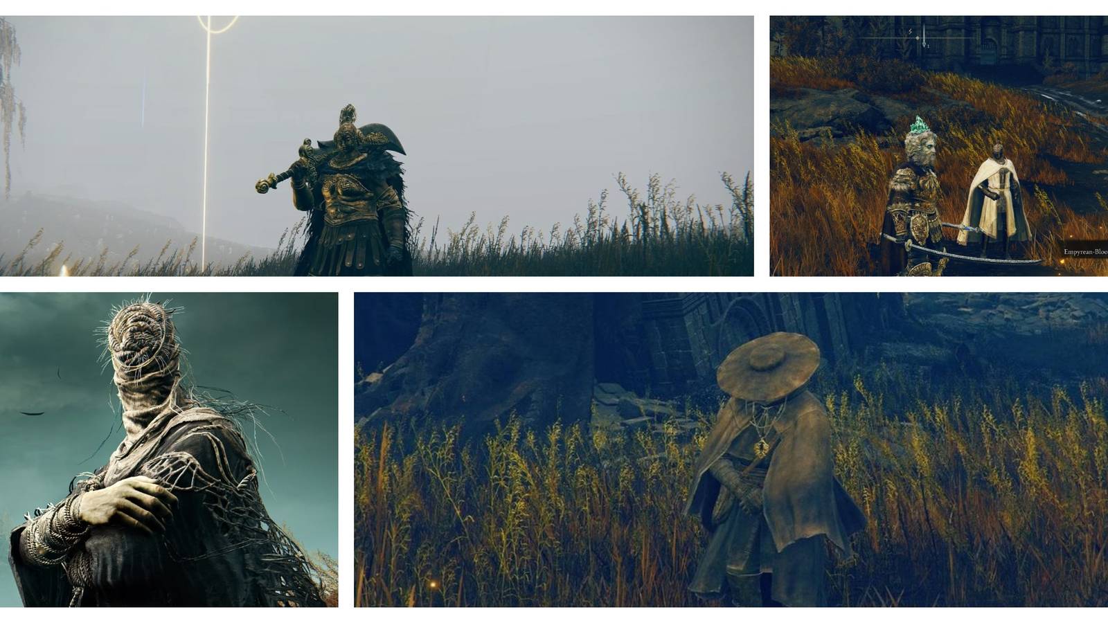 Elden Ring Shadow of the Erdtree - 6 Best New Characters Featured Image