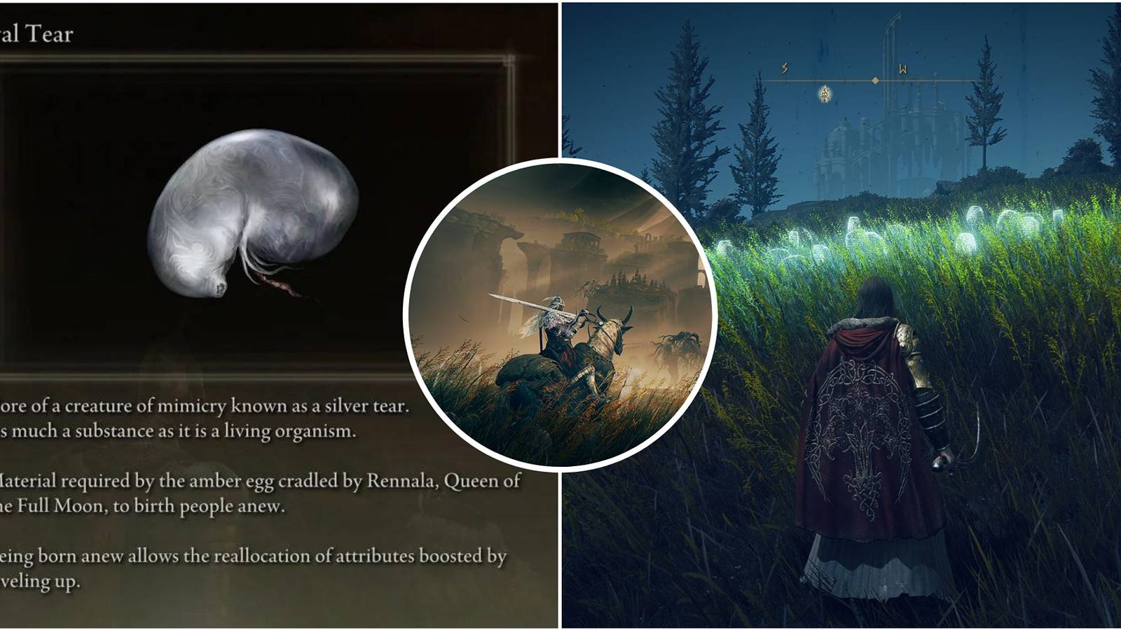 Featured image for Elden Ring - Shadow Of The Erdtree showcasing the larval tear and larval tear location in Shadow of the Erdtree