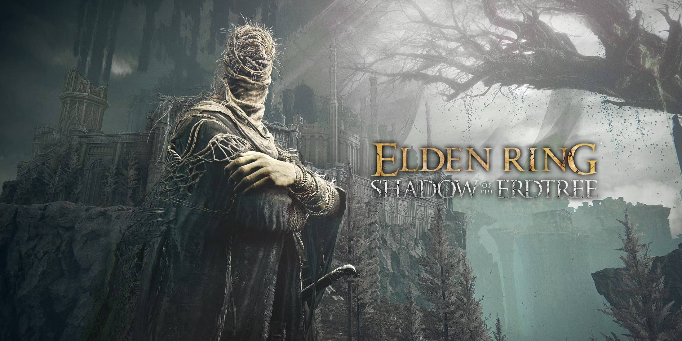 New Elden Ring DLC Bug is Giving Players 250k Runes for Free