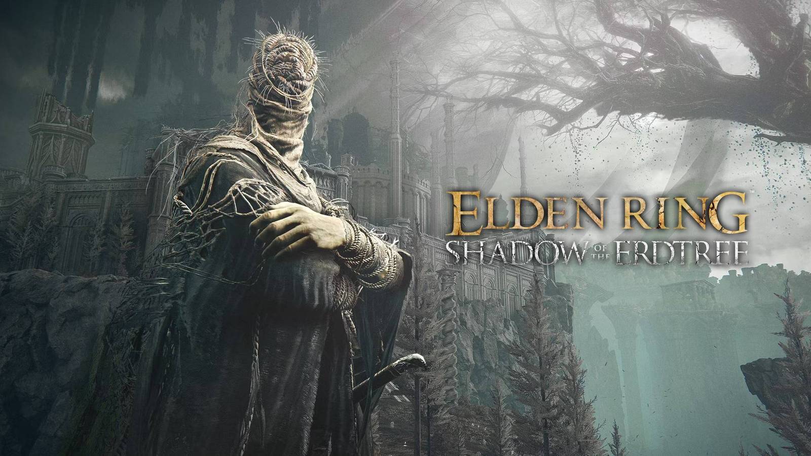 elden ring shadow of the erdtree dlc radahn free runes bug